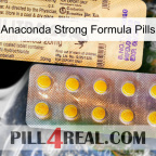 Anaconda Strong Formula Pills new06